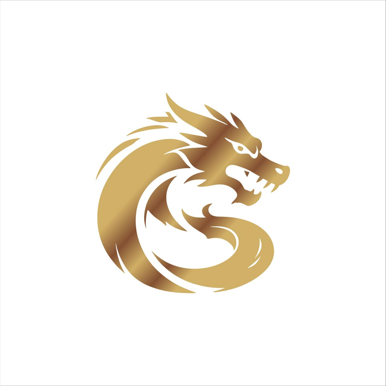 龙胜国际